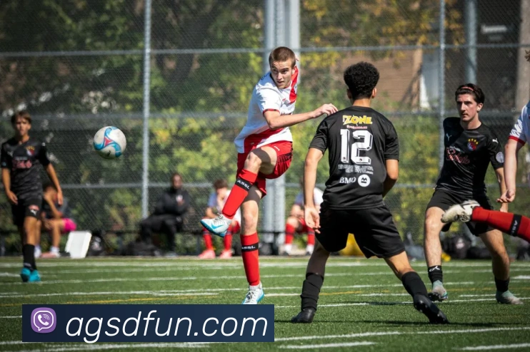 App Interface Preview