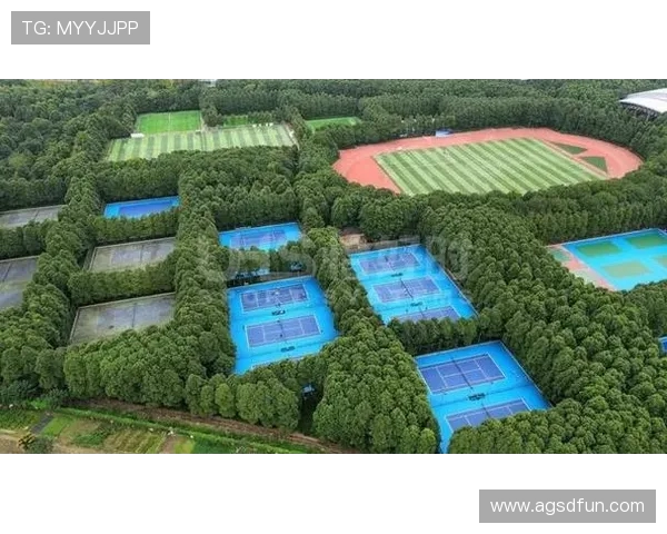 围绕南充足球场翻新费用探究当地体育设施升级与投入价值全面分析